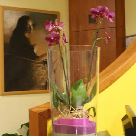 Hotel Sabo'